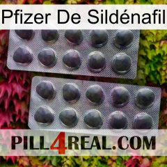 Pfizer De Sildénafil 31